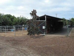Paddocks
