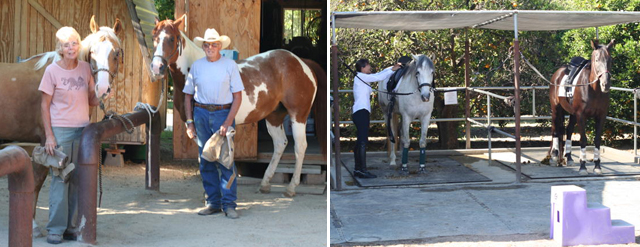 Friend's Stable & Orchard