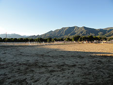 Irrigated sand arenas