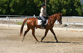 Irrigated sand arenas