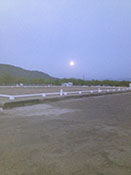 Irrigated FEI regulation dressage arena